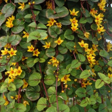 image (1)8